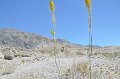 HJS_4076