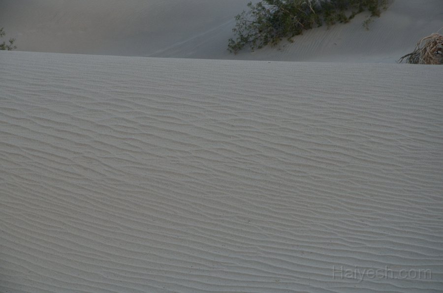 HJS_4664.JPG - Mesquite Sand Dunes at Dawn