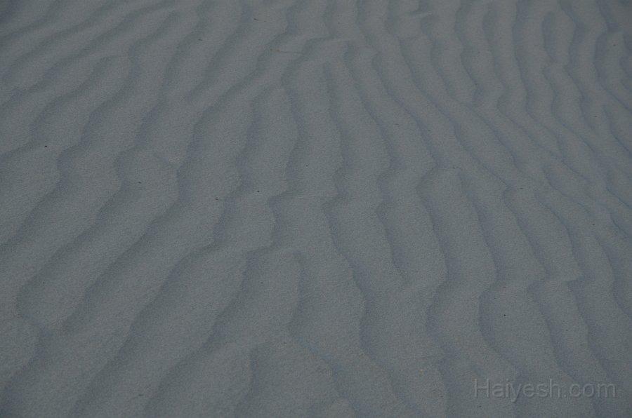 HJS_4665.JPG - Mesquite Sand Dunes at Dawn