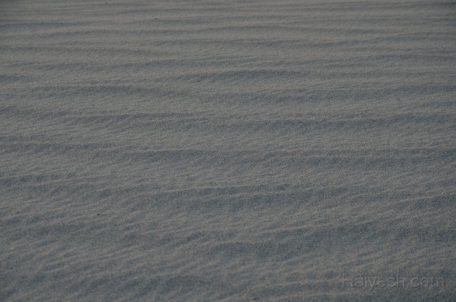 HJS_4672.JPG - Mesquite Sand Dunes at Dawn