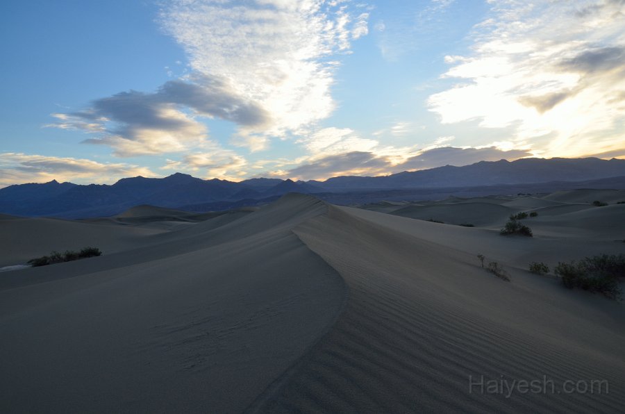HJS_4674.JPG - Mesquite Sand Dunes at Dawn