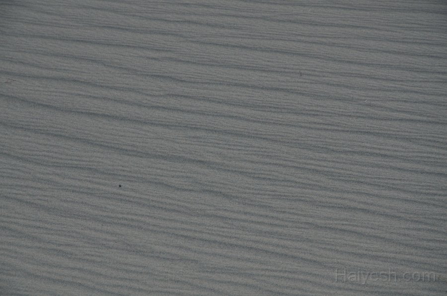 HJS_4680.JPG - Mesquite Sand Dunes at Dawn