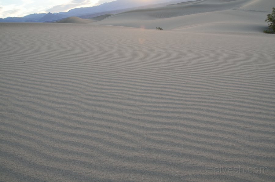 HJS_4693.JPG - Mesquite Sand Dunes at Dawn