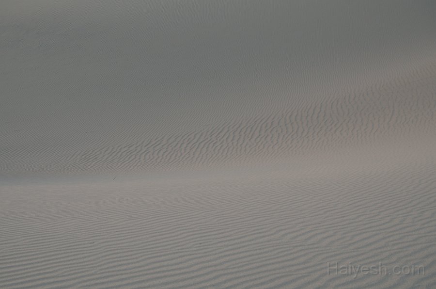 HJS_4694.JPG - Mesquite Sand Dunes at Dawn