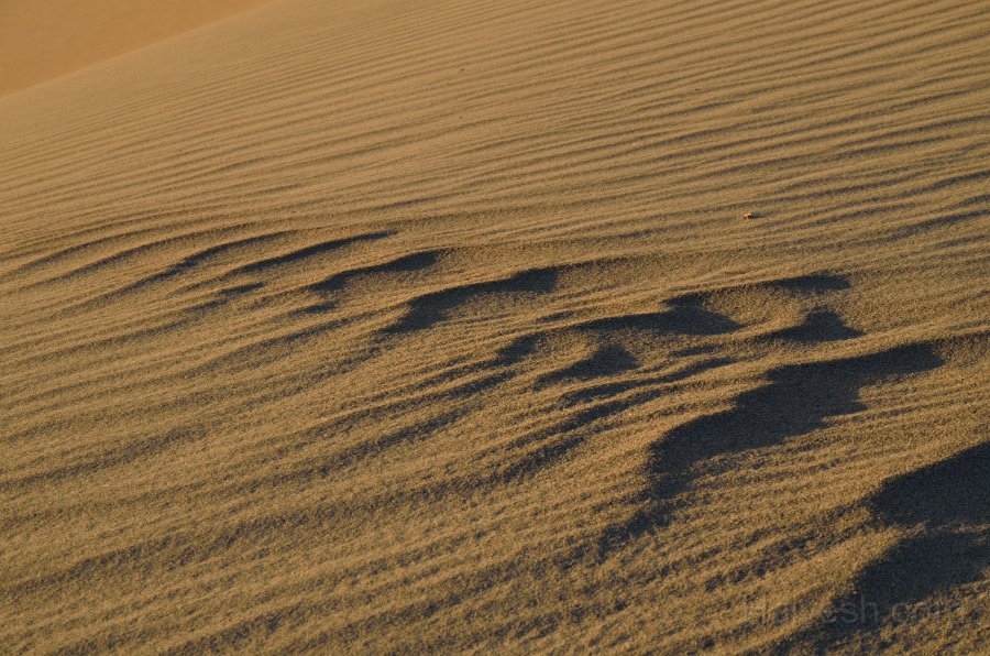 HJS_4712.JPG - Mesquite Sand Dunes at Dawn