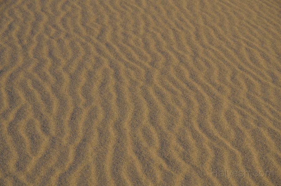 HJS_4716.JPG - Mesquite Sand Dunes at Dawn