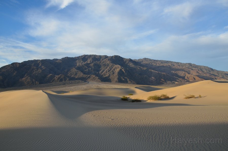 HJS_4721.JPG - Mesquite Sand Dunes at Dawn