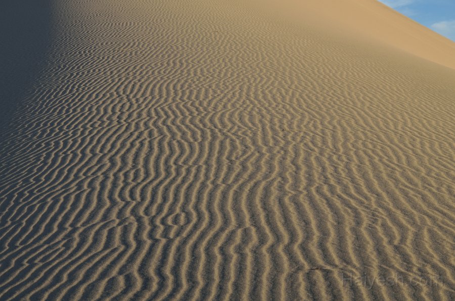 HJS_4723.JPG - Mesquite Sand Dunes at Dawn