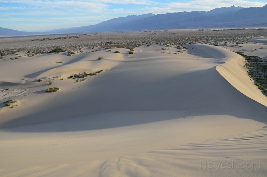 HJS_4736.JPG - Mesquite Sand Dunes at Dawn