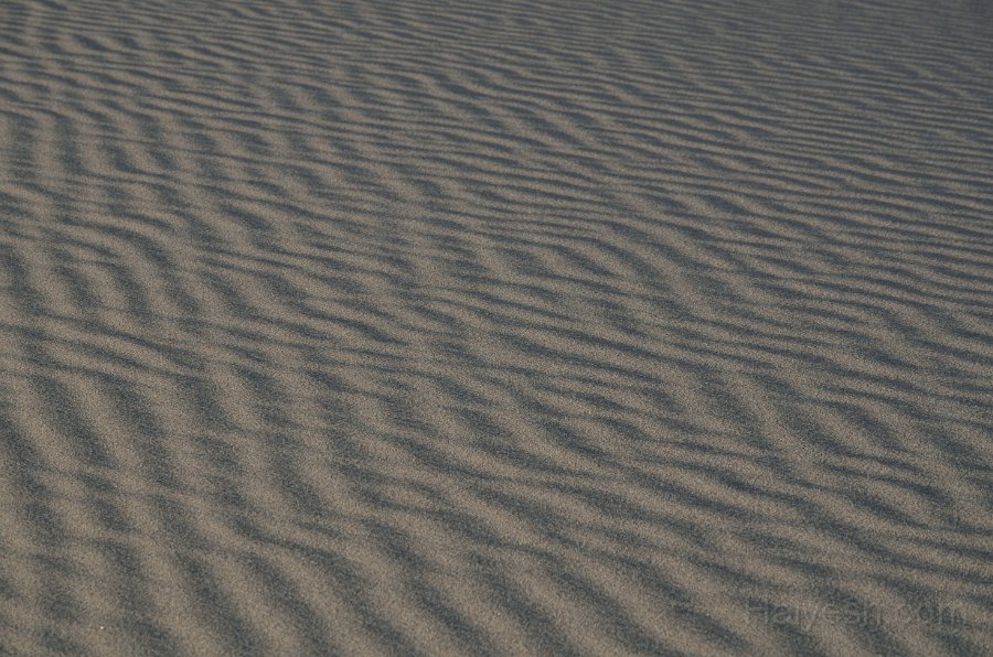 HJS_4776.JPG - Mesquite Sand Dunes at Dawn