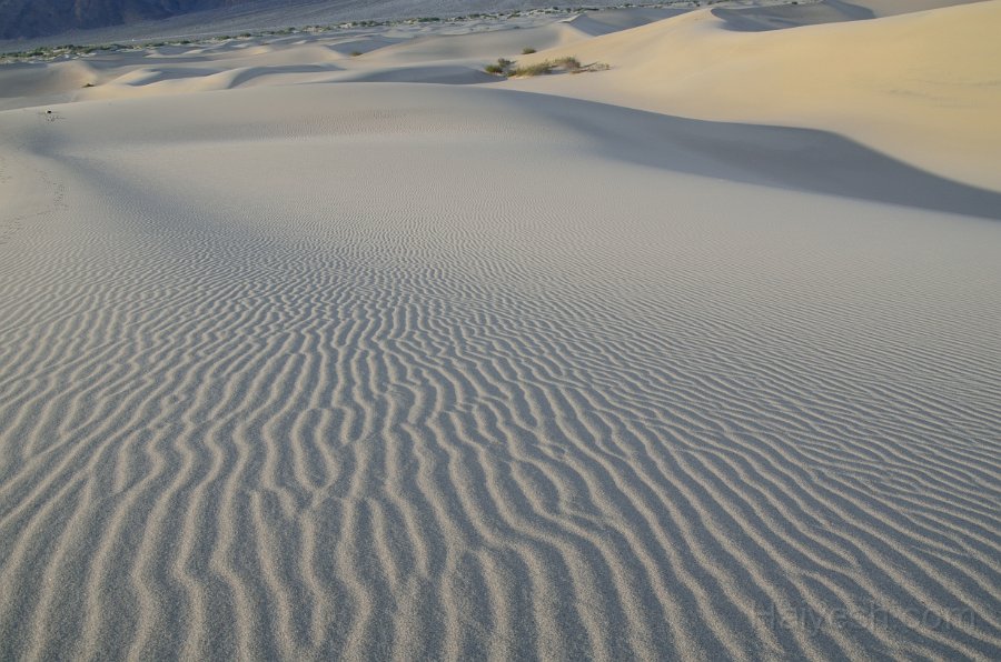 HJS_4787.JPG - Mesquite Sand Dunes at Dawn