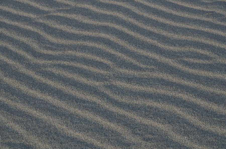 HJS_4789.JPG - Mesquite Sand Dunes at Dawn