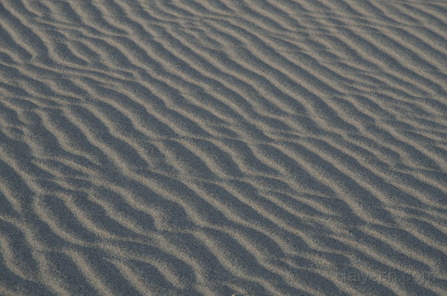 HJS_4790.JPG - Mesquite Sand Dunes at Dawn