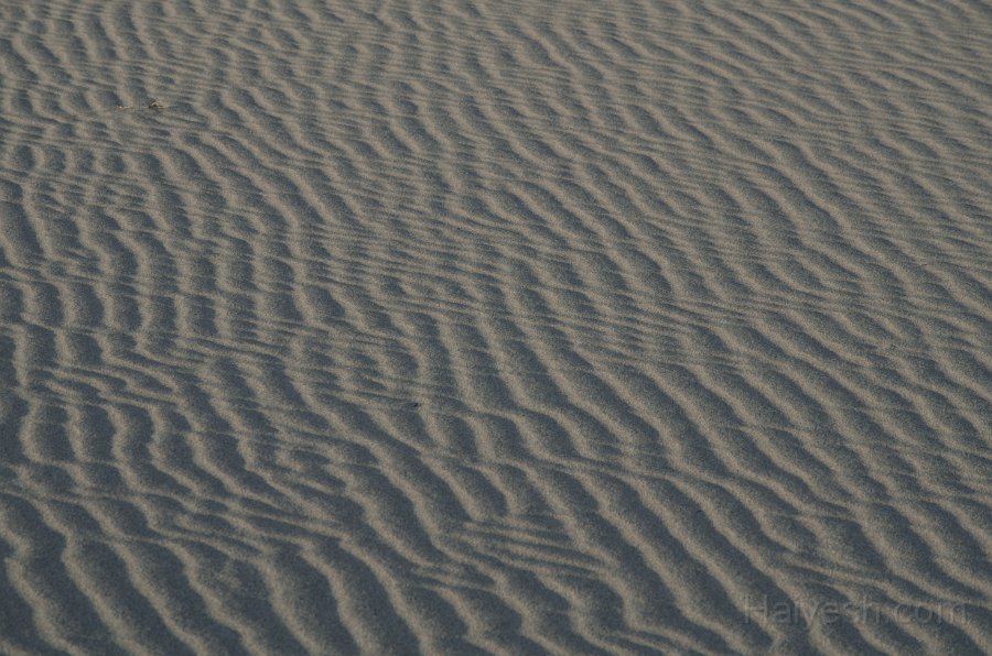 HJS_4791.JPG - Mesquite Sand Dunes at Dawn