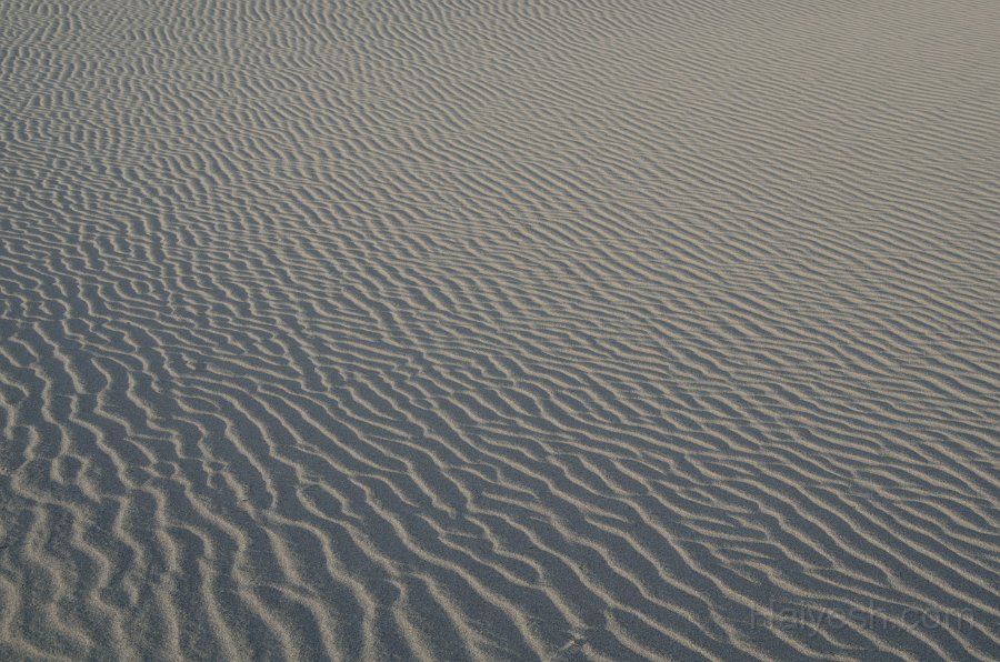 HJS_4792.JPG - Mesquite Sand Dunes at Dawn