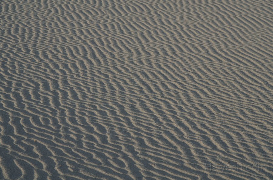 HJS_4793.JPG - Mesquite Sand Dunes at Dawn