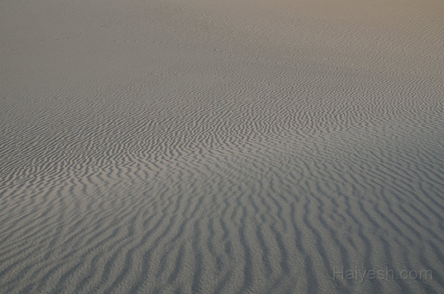 HJS_4804.JPG - Mesquite Sand Dunes at Dawn