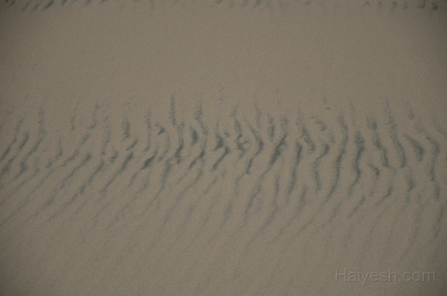 HJS_4811.JPG - Mesquite Sand Dunes at Dawn