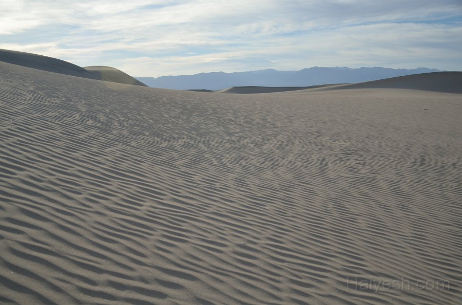 HJS_4812.JPG - Mesquite Sand Dunes at Dawn