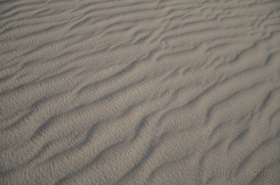 HJS_4813.JPG - Mesquite Sand Dunes at Dawn