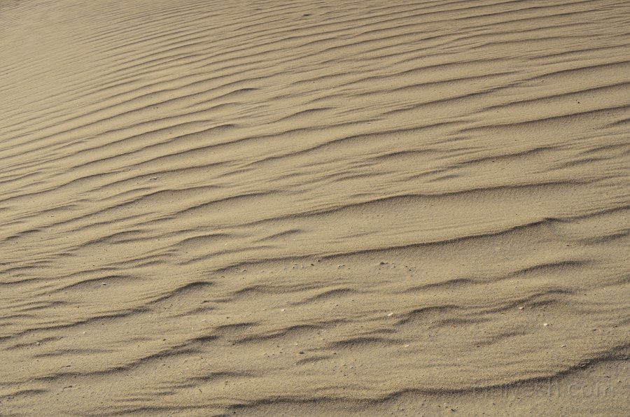HJS_4840.JPG - Mesquite Sand Dunes at Dawn