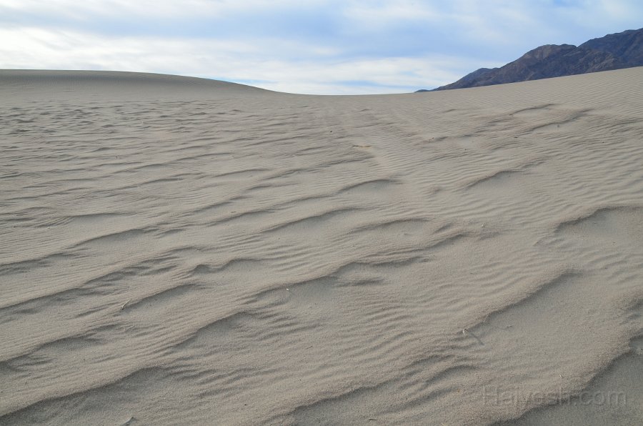 HJS_4844.JPG - Mesquite Sand Dunes at Dawn