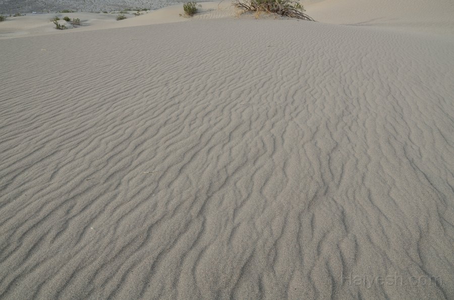 HJS_4845.JPG - Mesquite Sand Dunes at Dawn