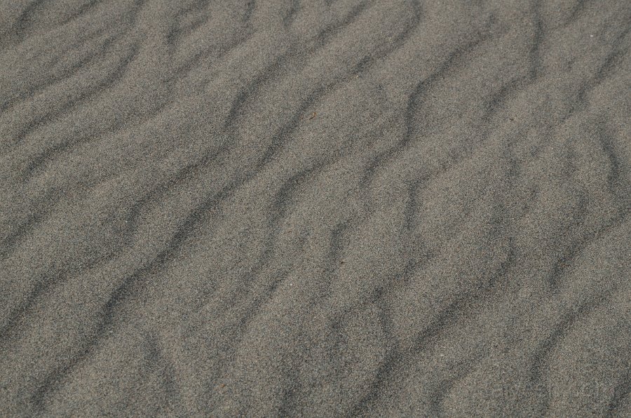 HJS_4846.JPG - Mesquite Sand Dunes at Dawn