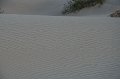 HJS_4664