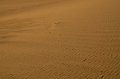 HJS_4711