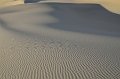 HJS_4783